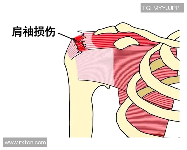 如何通过科学健身提高身体素质并保持健康生活方式的全面指南