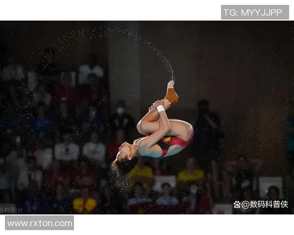 跳水运动的技艺与精神探析：从竞技到艺术的跨越与传承