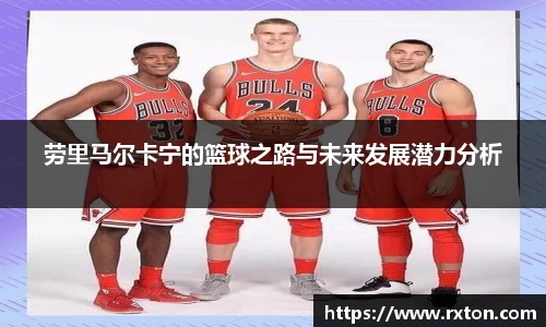雷竞技官网地址